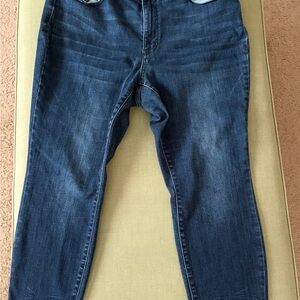 Judy Blue Deep Indigo Skinny Jeans